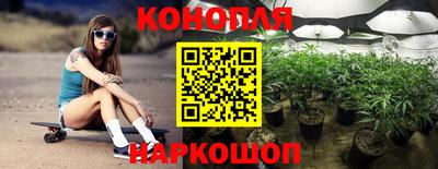 ешки Можга
