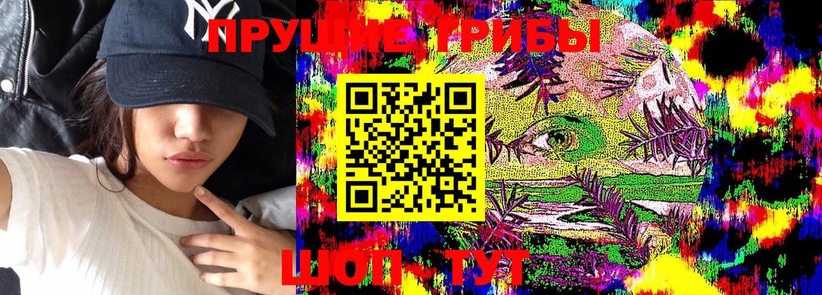 Псилоцибиновые грибы ЛСД  Губкин 