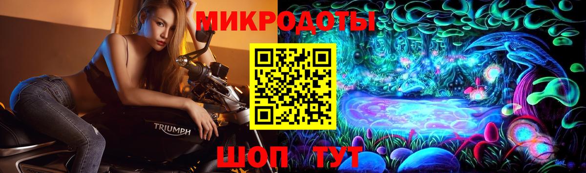 Псилоцибиновые грибы прущие грибы Губкин